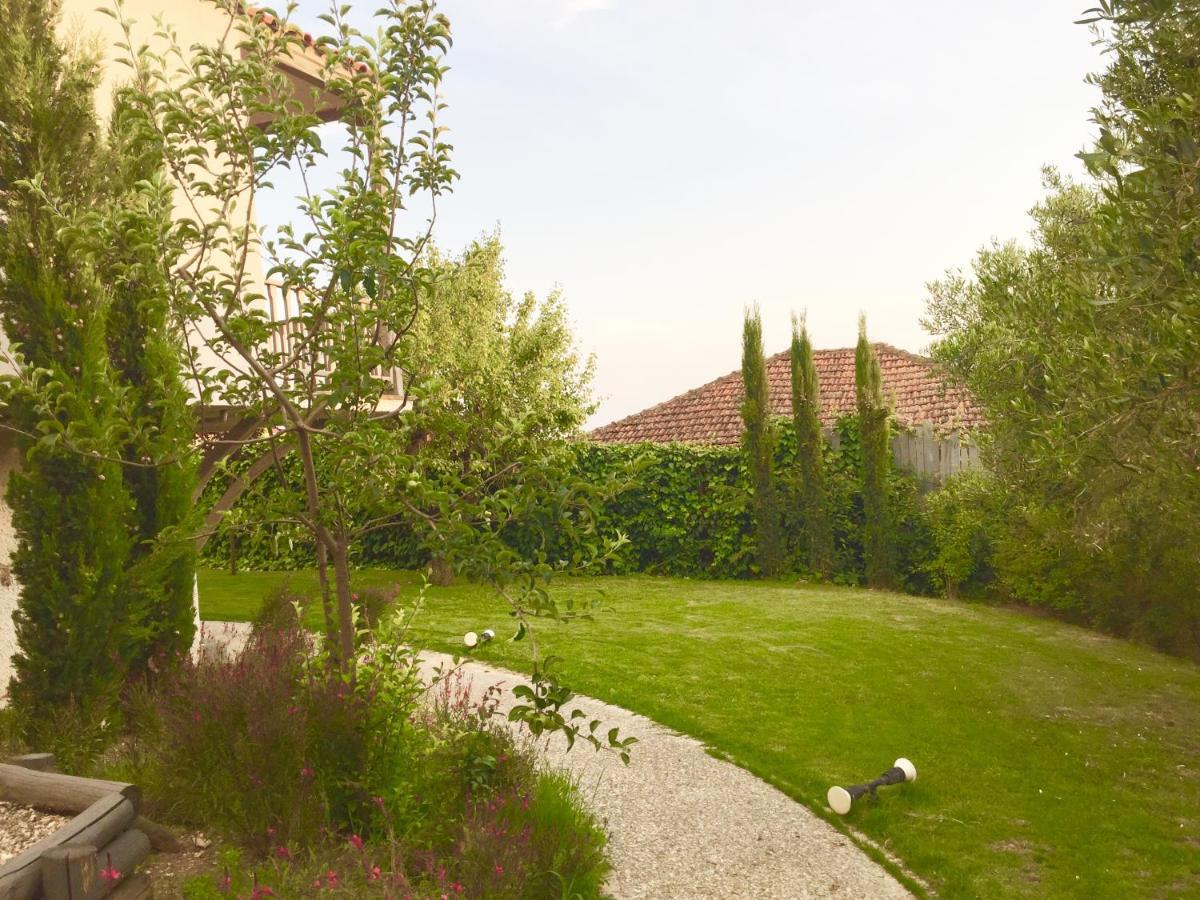 Sea View Villa In Olive Garden Nea Kallikrateia Экстерьер фото