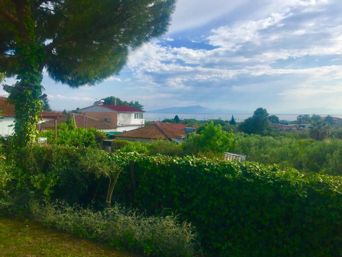 Sea View Villa In Olive Garden Nea Kallikrateia Экстерьер фото