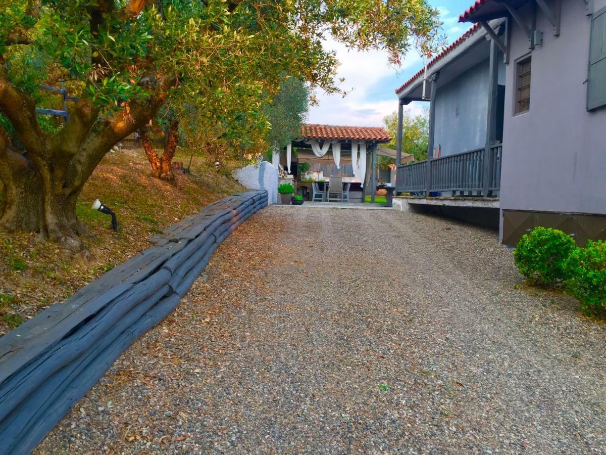 Sea View Villa In Olive Garden Nea Kallikrateia Экстерьер фото