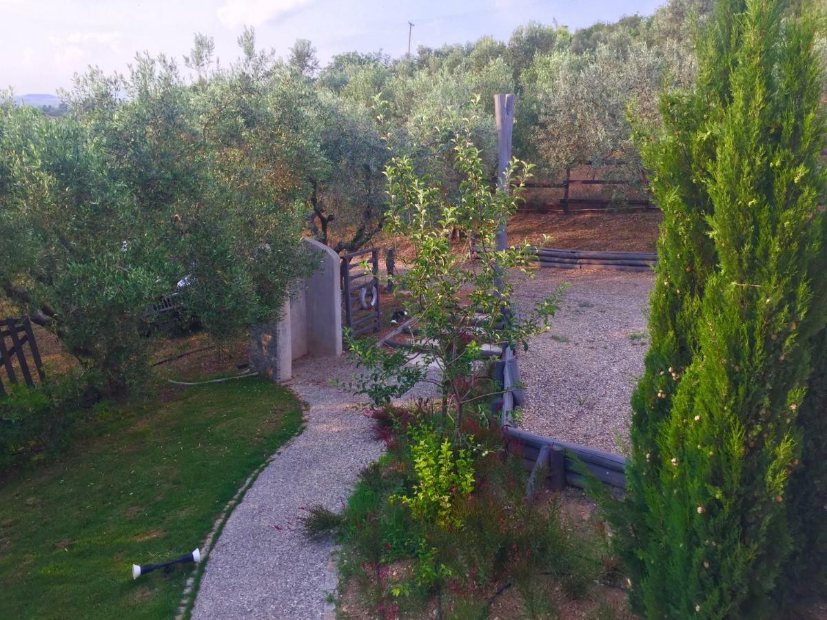 Sea View Villa In Olive Garden Nea Kallikrateia Экстерьер фото