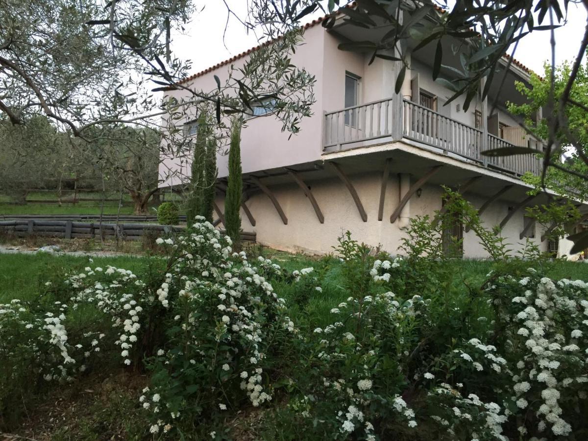 Sea View Villa In Olive Garden Nea Kallikrateia Экстерьер фото